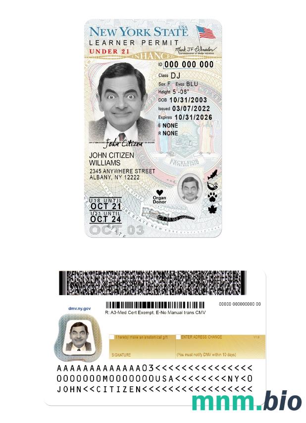 USA New York driving license under 21 (version 2)